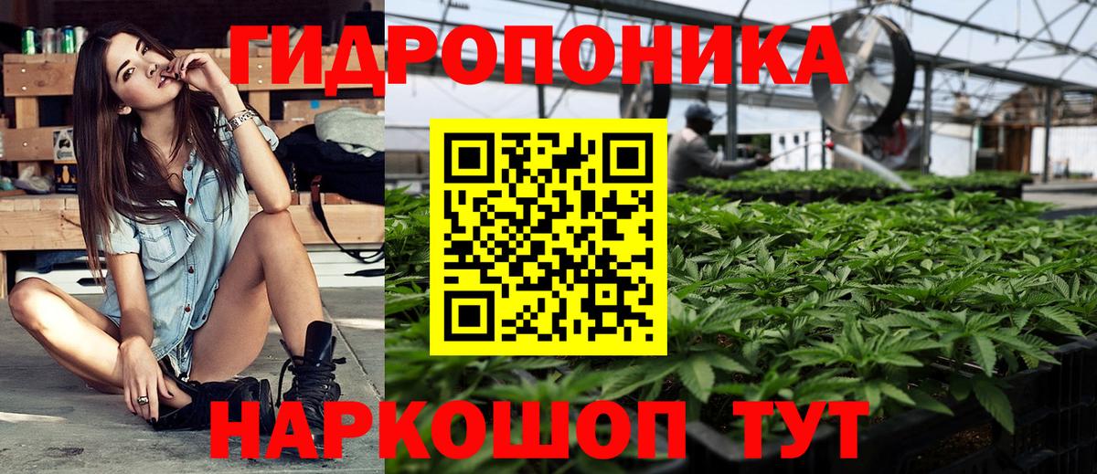 Бошки Шишки THC 21% Нарткала